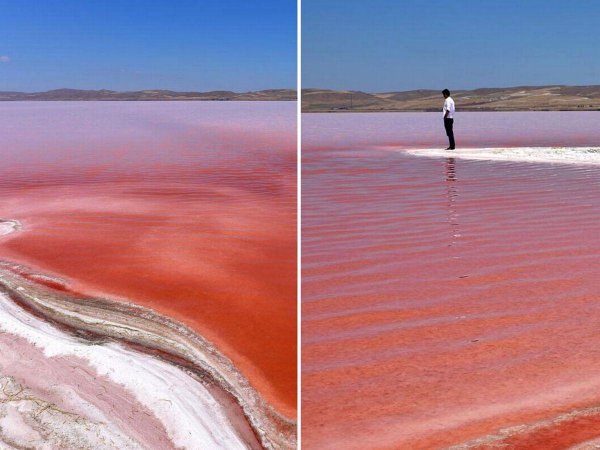 红海海水呈现什么颜色