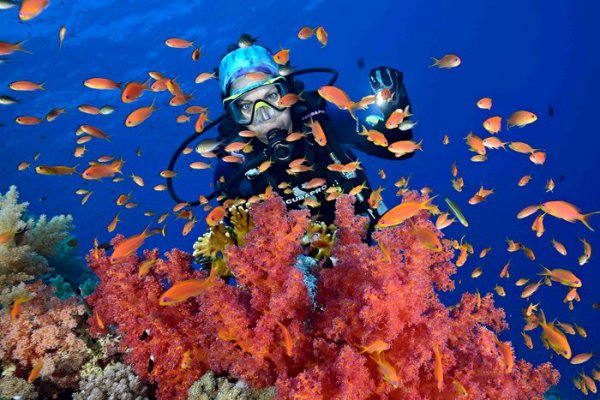 红海海水呈现什么颜色