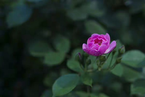 男人不想娶你拖着的表现