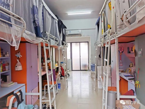 北部湾大学值得去吗