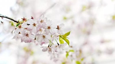 高情商幽默回复不回信息男人 女人如何应对不回消息的男人