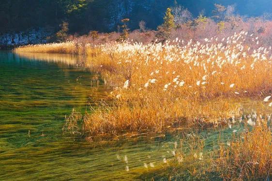 九寨沟最佳旅游季节是几月份