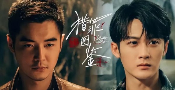 2022电视剧推荐排行榜