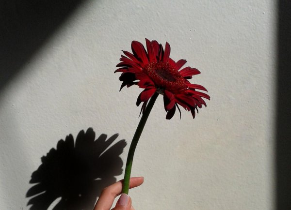 女人喜欢你的肢体动作