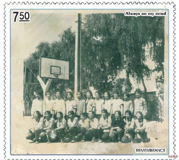 篮球传入中国的时间