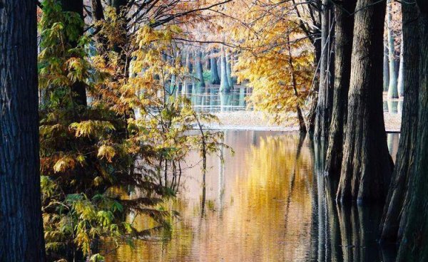 上海唐心忠的钱从哪里来的