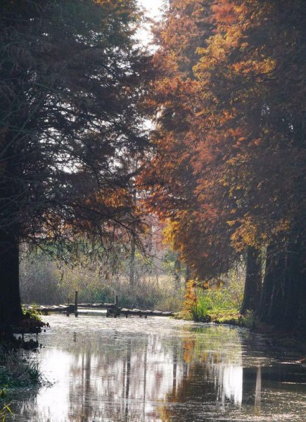 上海唐心忠的钱从哪里来的
