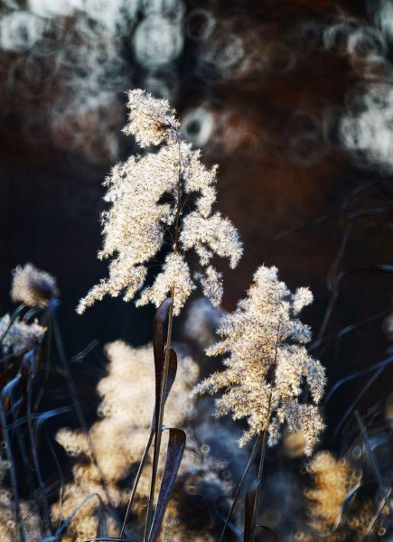 上海唐心忠的钱从哪里来的