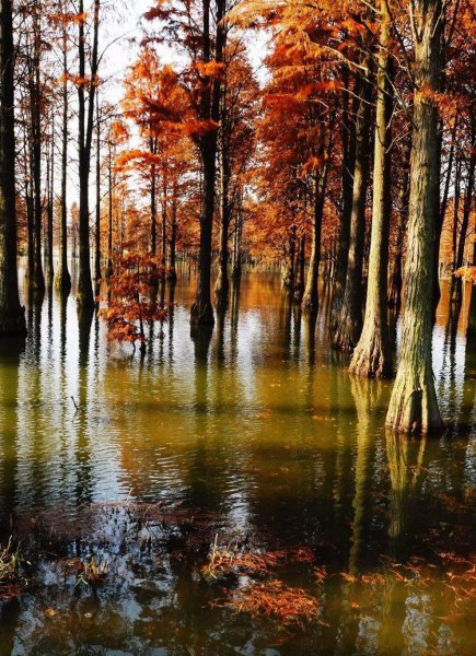 上海唐心忠的钱从哪里来的