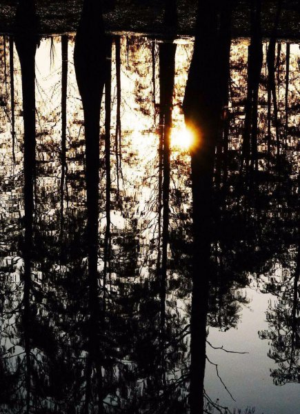 上海唐心忠的钱从哪里来的