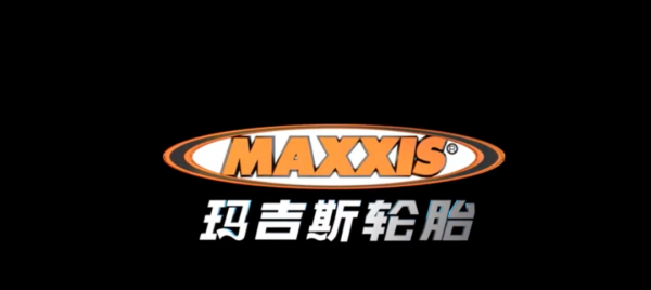 国内轮胎前十名排行榜