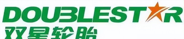 国内轮胎前十名排行榜