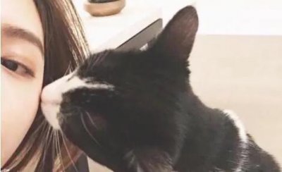 养猫的女生什么性格特点 男生怎么追喜欢猫的女生