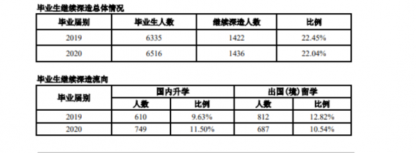 深圳大学怎么样