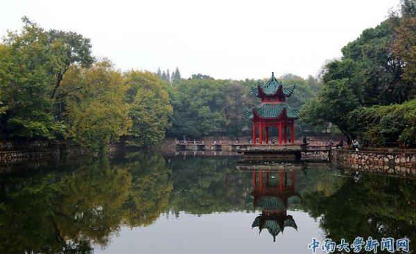 中南大学是985还是211