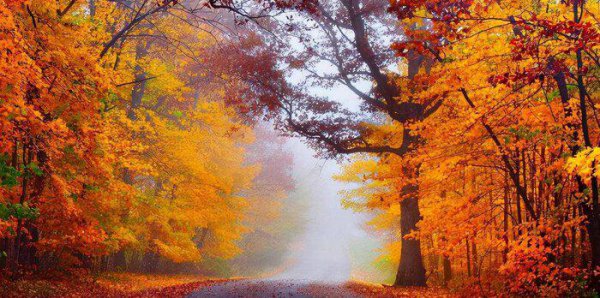 磁场乱的人有什么特征