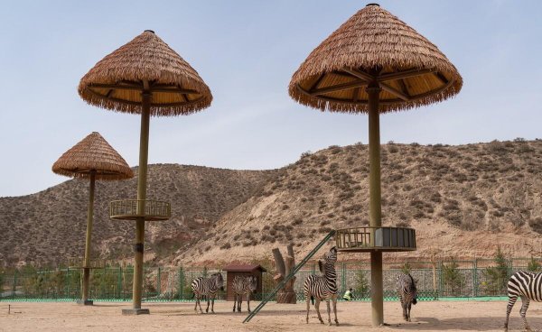 兰州有哪些适合情侣好玩的景区