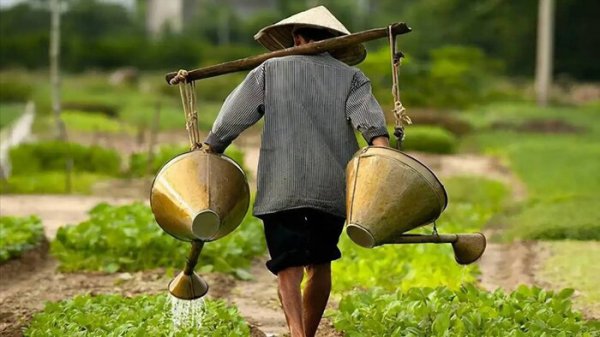 光伏发电农村骗局揭秘