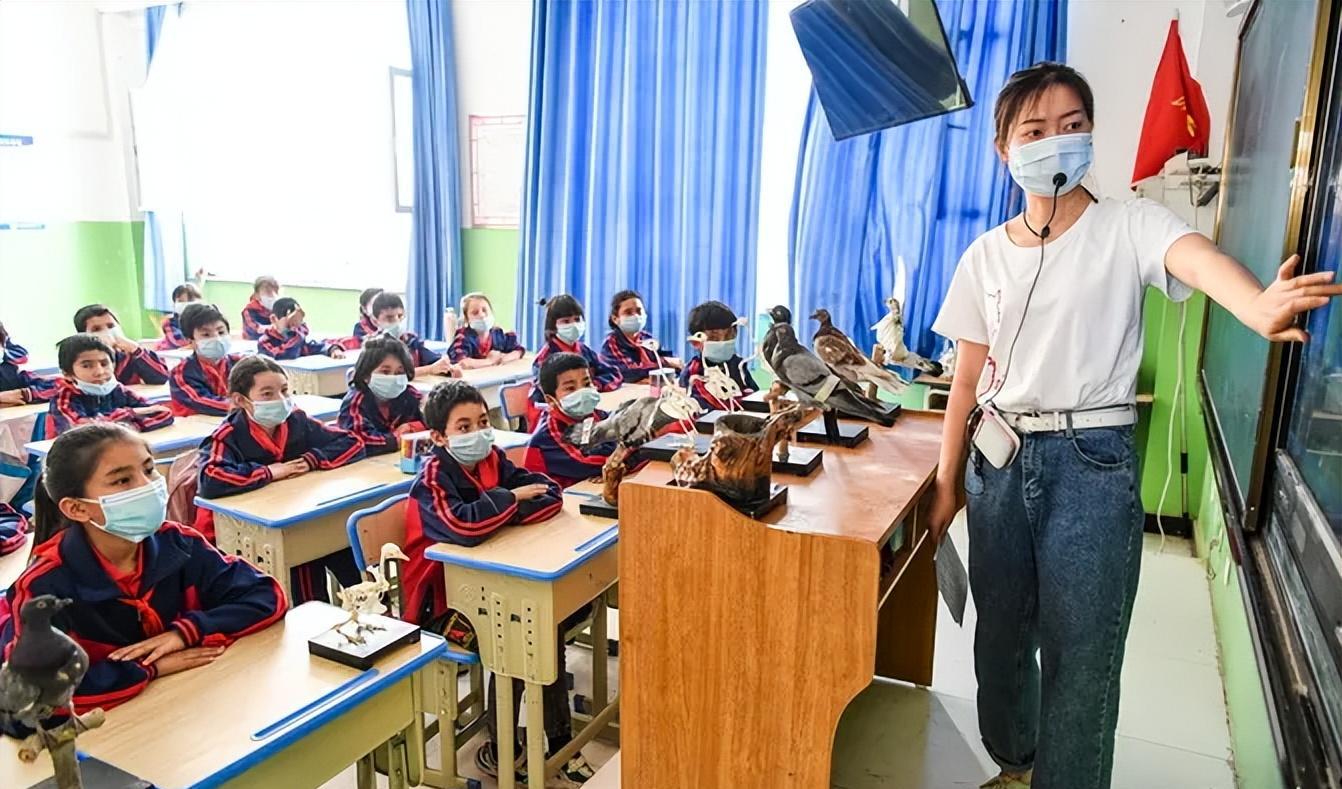 深圳幼师工资一般多少