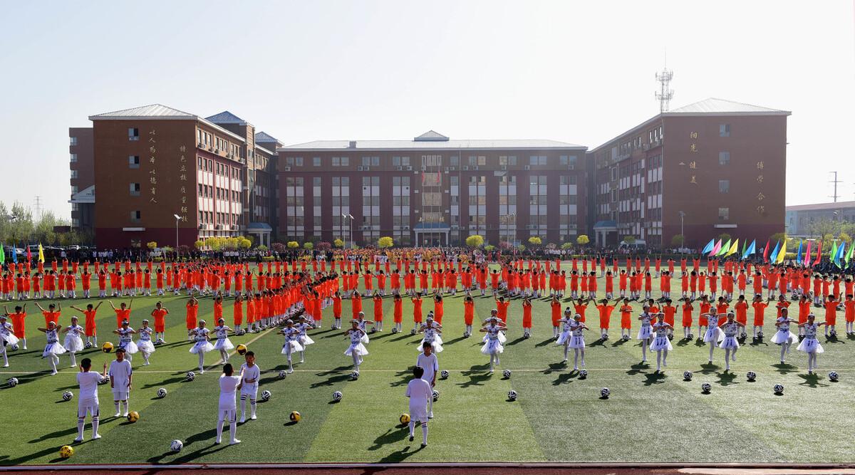 石家庄小学排行榜