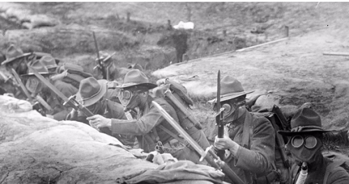 一战死亡人数总数