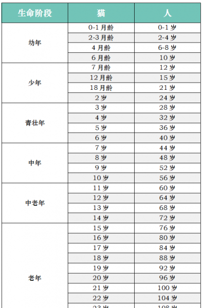 猫6岁相当于人多少岁
