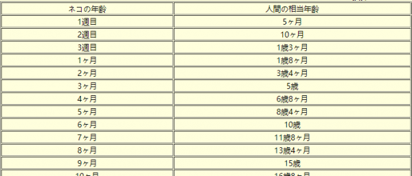 猫6岁相当于人多少岁