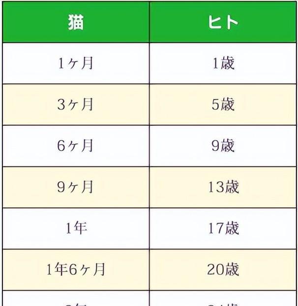 猫6岁相当于人多少岁