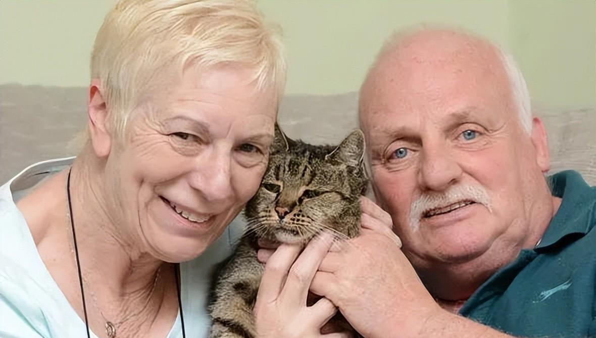 猫6岁相当于人多少岁