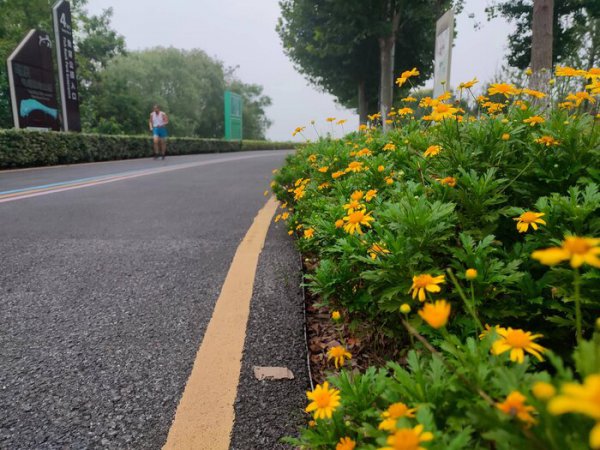 晨跑需要注意什么才不伤关节