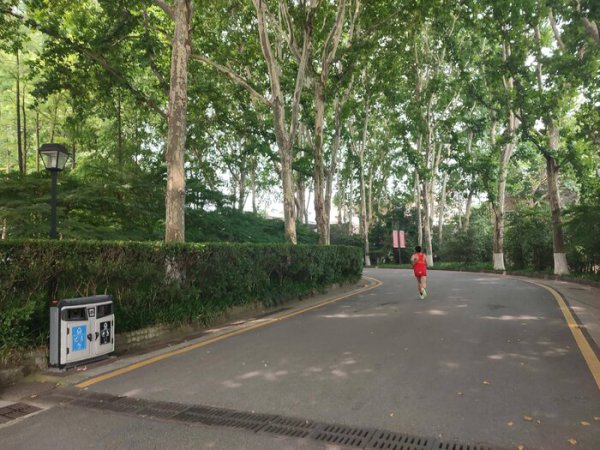 晨跑需要注意什么才不伤关节