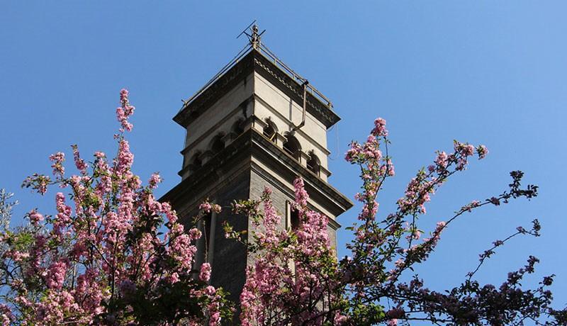 云南有什么大学排行榜