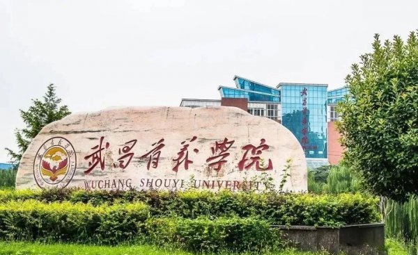 湖北民办大学排名