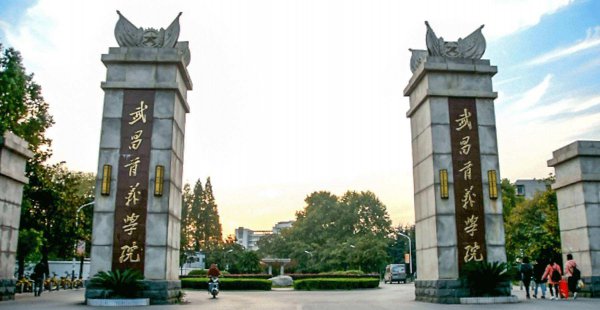 湖北民办大学排名
