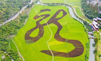 贵州风景名胜区有哪些 贵州省最受欢迎的十大旅游绝美景区