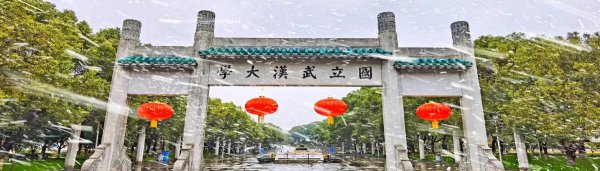 武汉大学占地面积多大