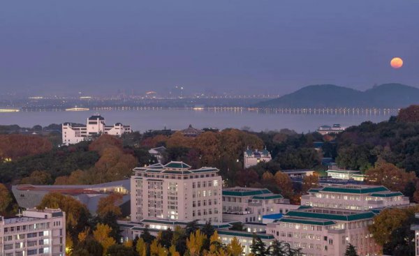 武汉大学占地面积多大