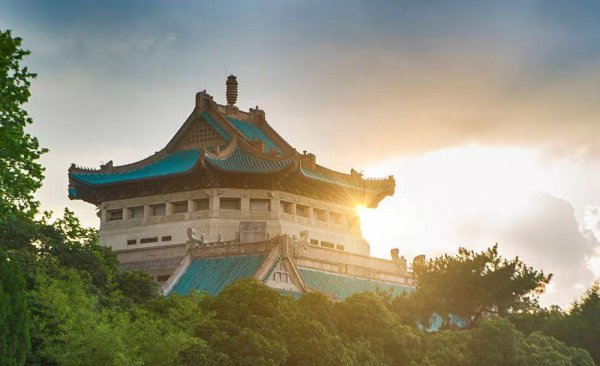 武汉大学占地面积多大