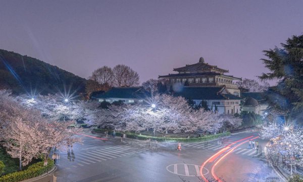 武汉大学占地面积多大