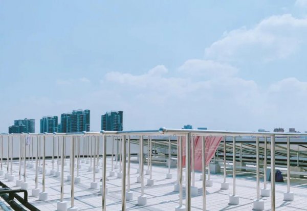 武汉大学占地面积多大