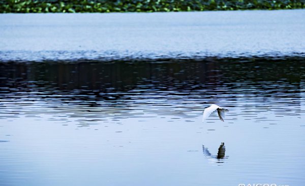 武汉旅游景点排名前十名