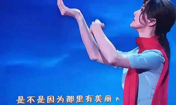 骆文博个人资料简介