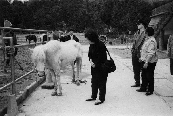 86版西游记拍了几年才拍完的