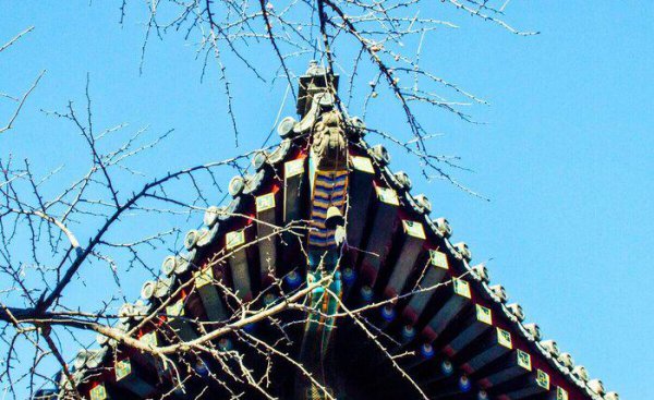 四川有哪些好的职业学校