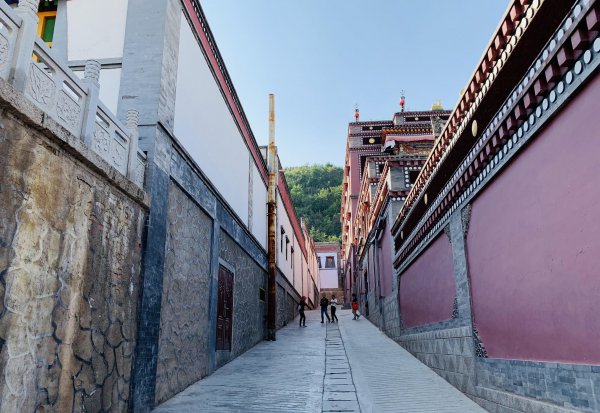 青海省塔尔寺详细介绍