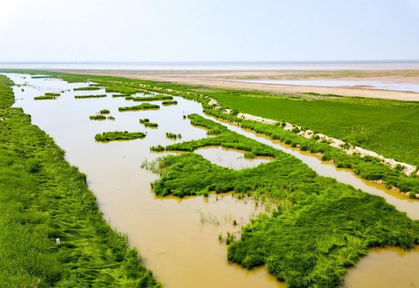 我国最大的淡水湖鄱阳湖位于哪里