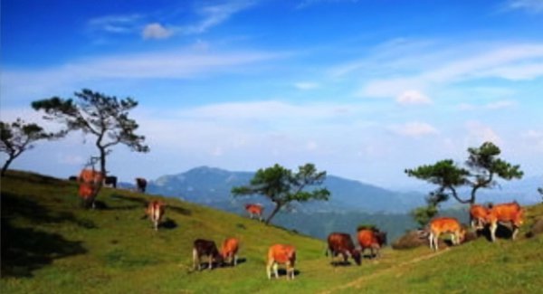 广东最穷的城市是哪一个