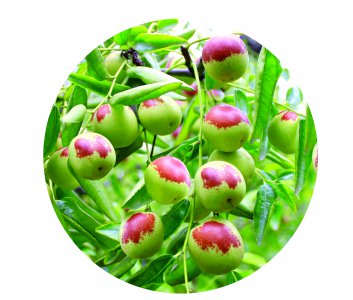 沾化属于山东哪个市 滨州沾化人文和经济的简要介绍