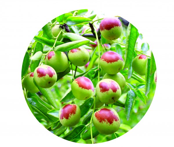 沾化属于山东哪个市