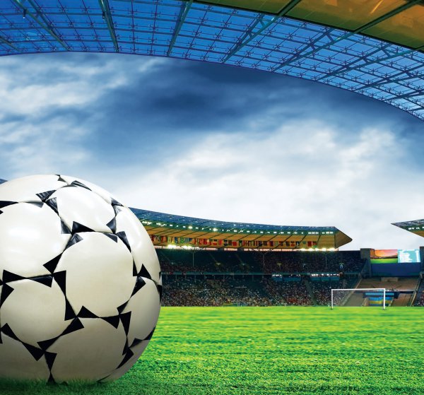 沾化属于山东哪个市